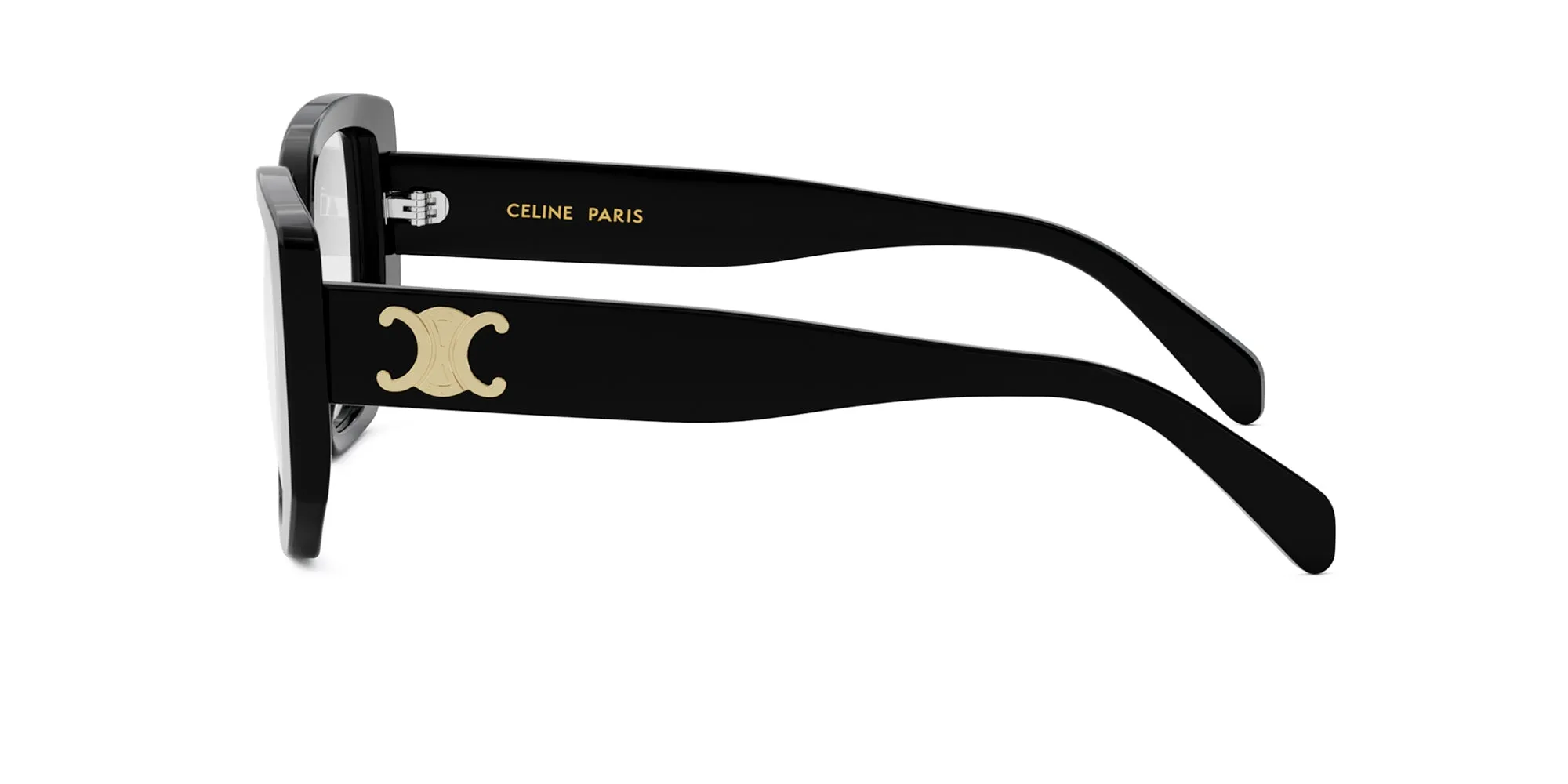 CELINE Triomphe CL50146I