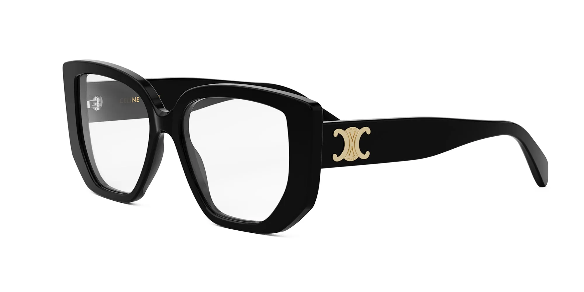 CELINE Triomphe CL50146I