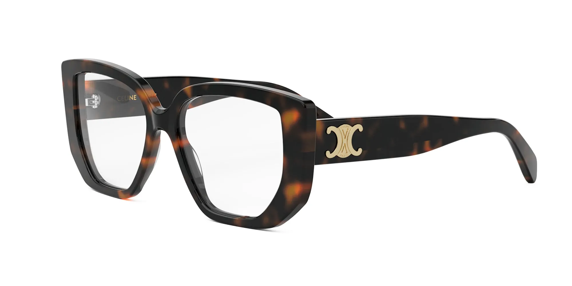 CELINE Triomphe CL50146I
