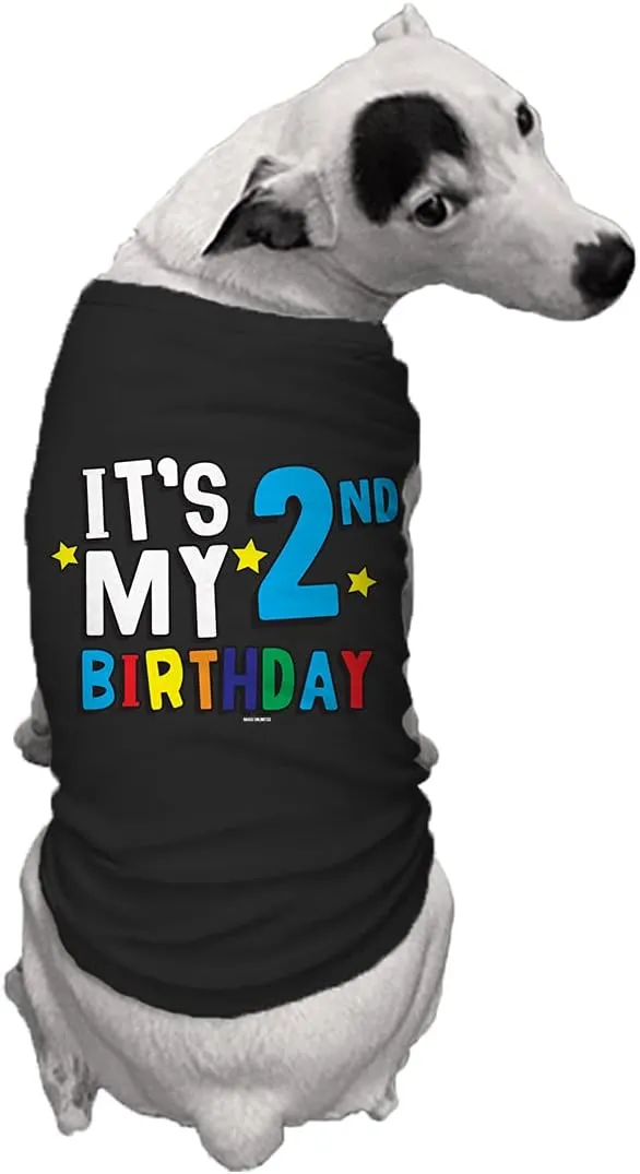 It's My 2nd Birthday - Second Dog Shirt (Black, 3X-Large)